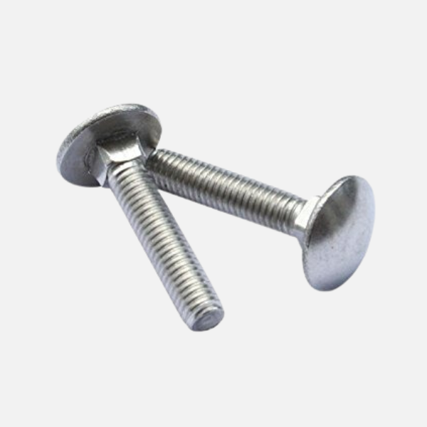 Stainless Steel Carriage Bolt